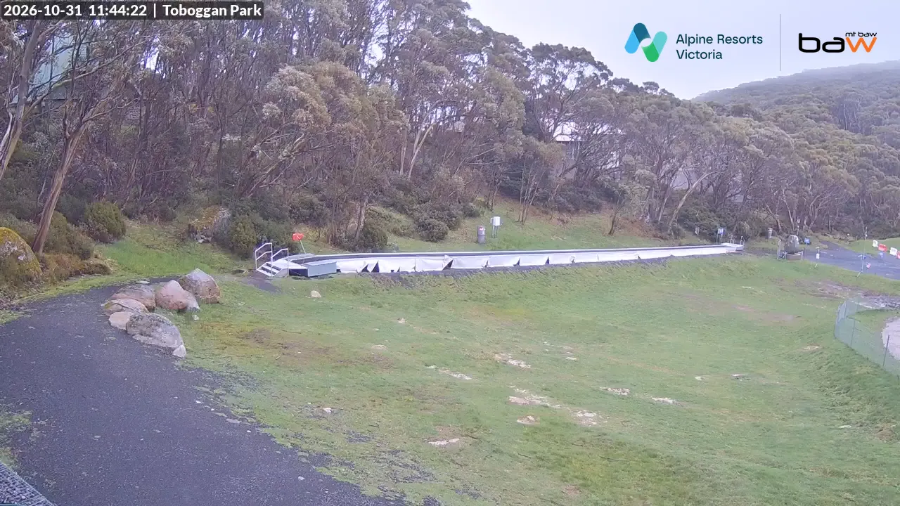 Toboggan Park